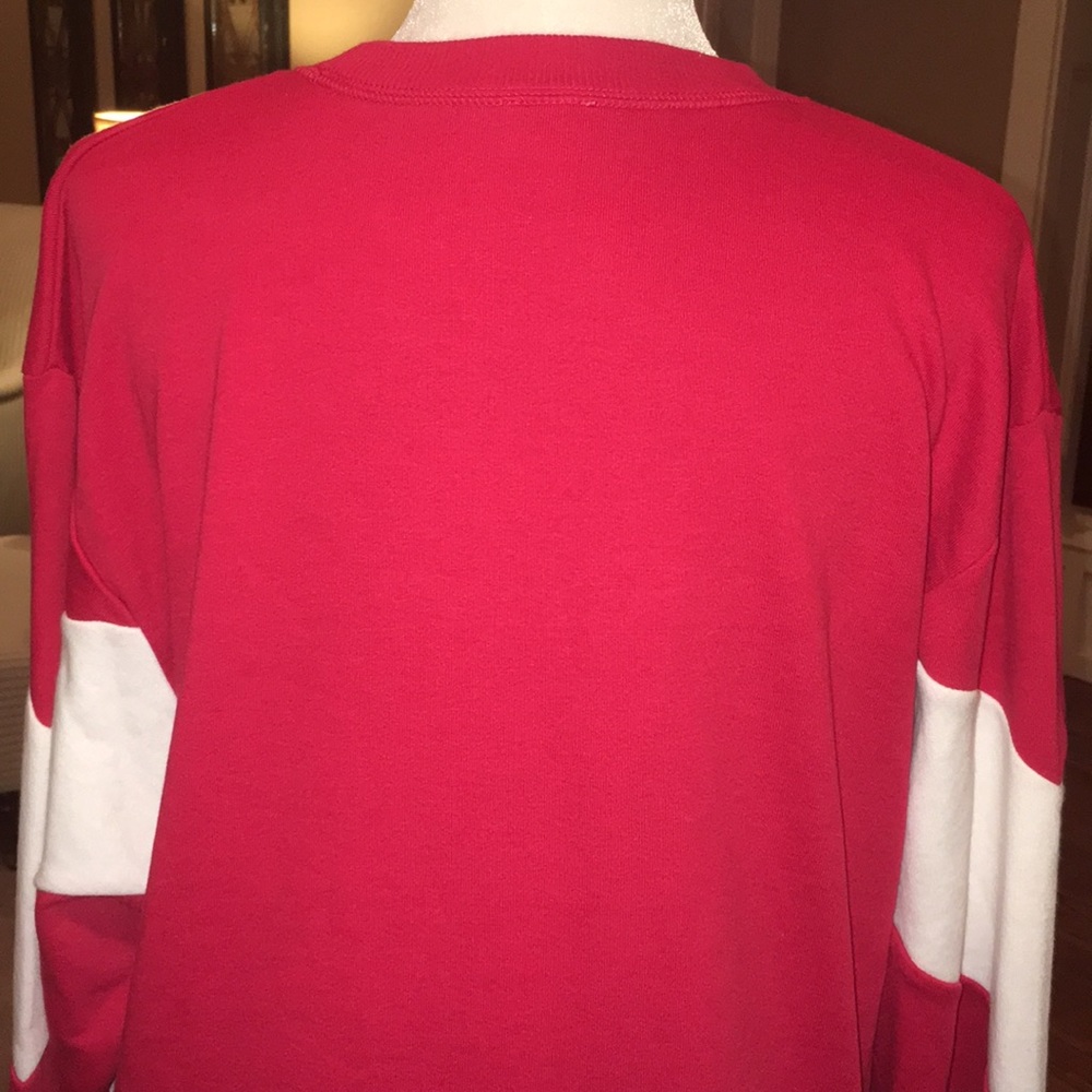 Juicy Couture Colorblock Sweatshirt in Large - Picture 10 of 16